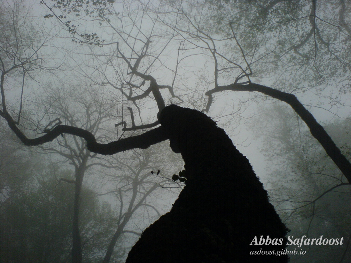 Dancer in the Fog