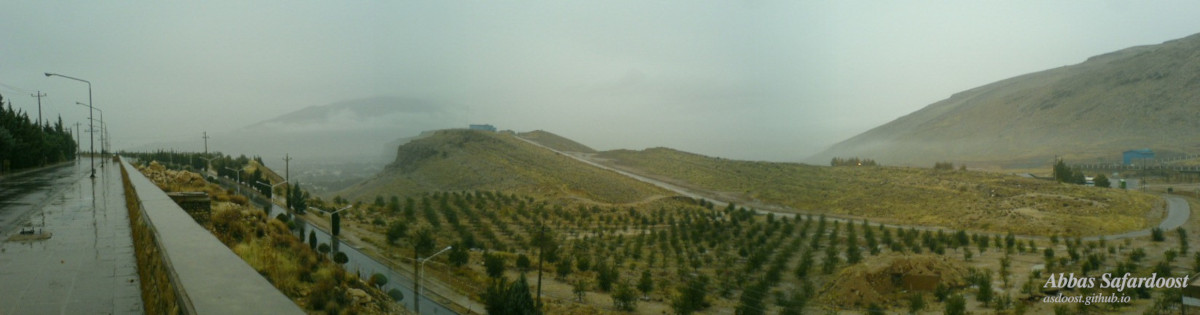 Shiraz